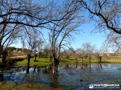 Cañón Río Aulencia-Embalse Valmenor; viriato pueblos madrid montejo de la sierra pueblos cercanos